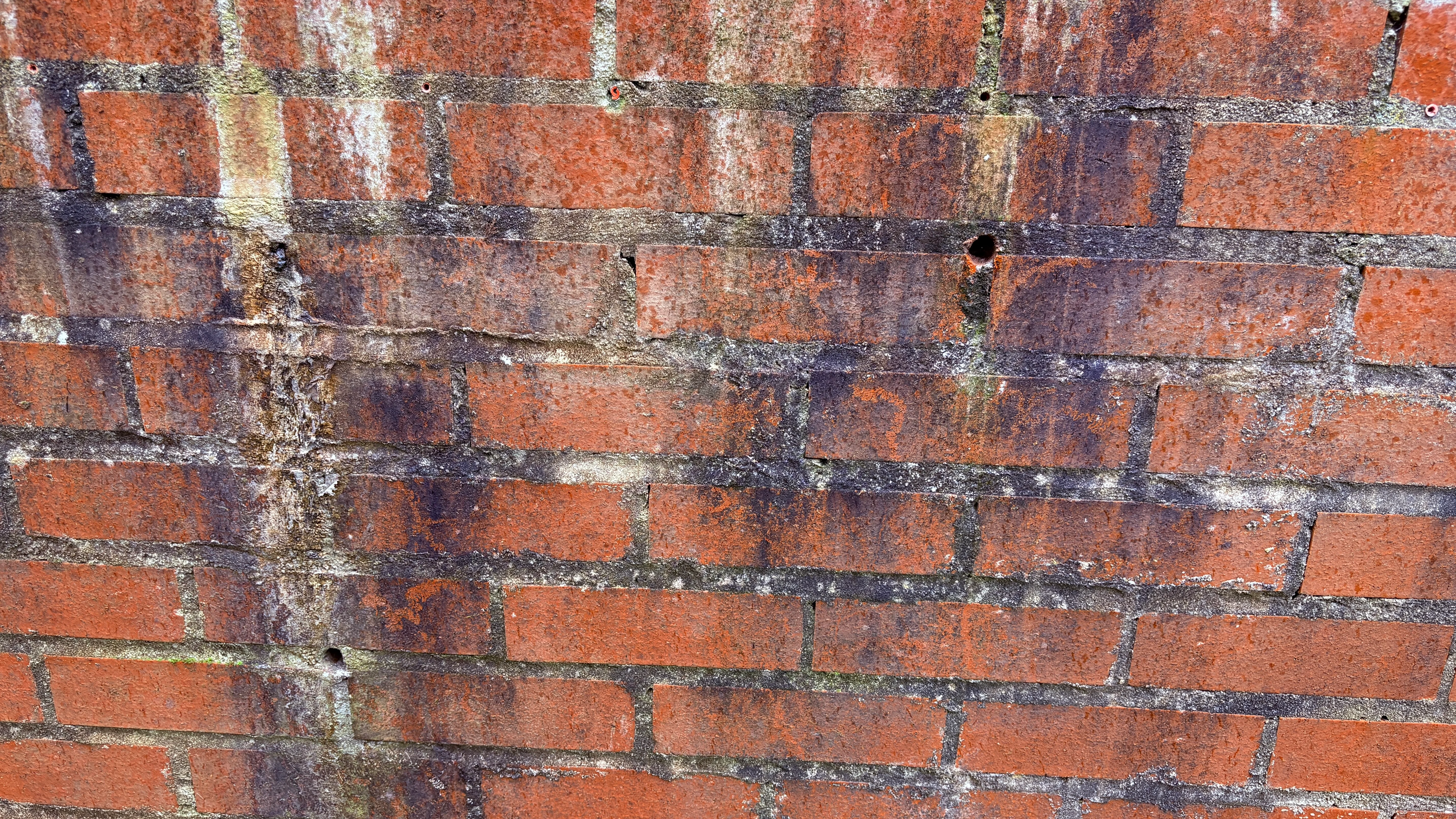 Efforescence and pointing failure on a Devon holiday let exterior wall