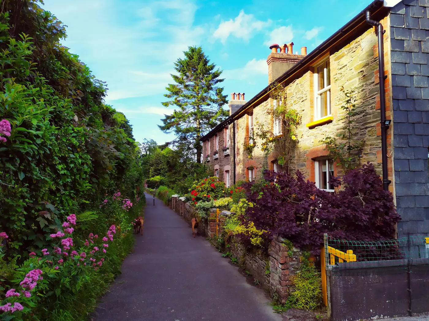 Row of Devon holiday cottages