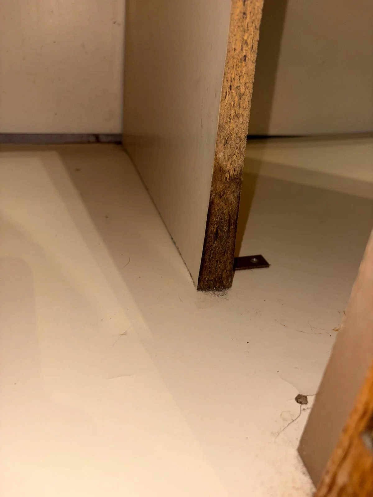 Cabinet delamination found and flagged during inspection